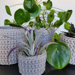Nesting planters, free crochet pattern