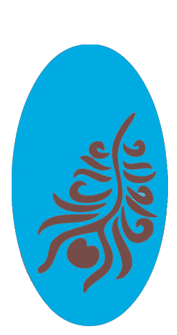 I interviewed : Kam of Everyday Peacocks!