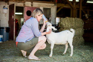 I interviewed : Amélie Blanchard of Twist Festival