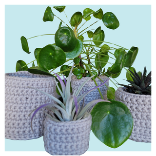 Nesting crochet planters with plants on turquoise background.