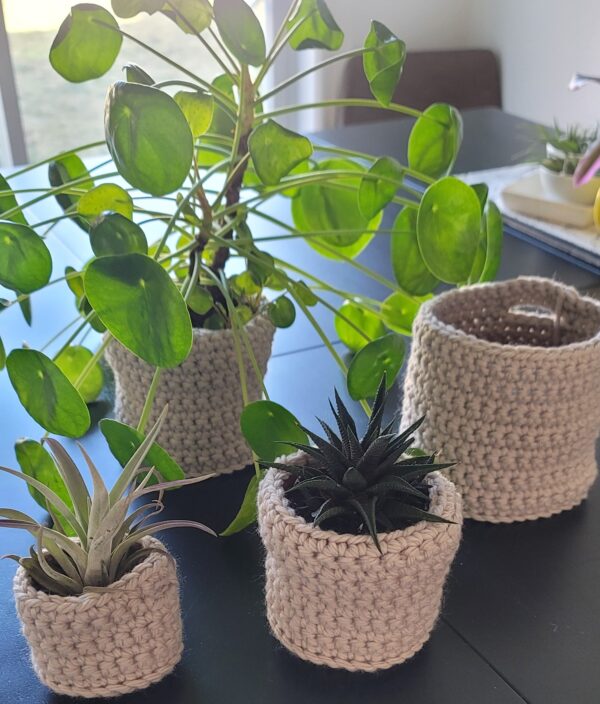 Various plants in pale gray crochet planters on a table