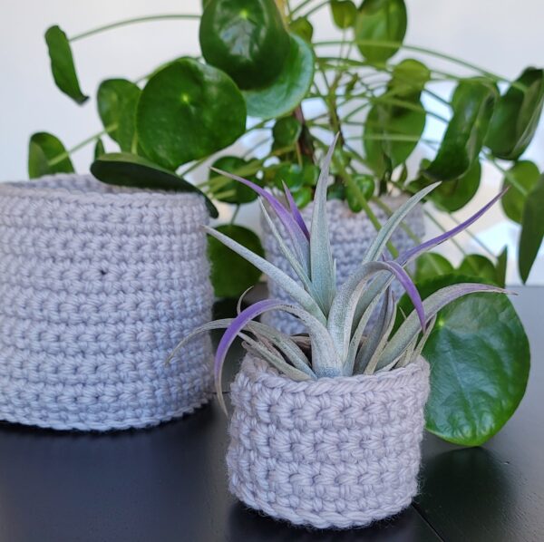 Various plants in pale gray crochet planters with an airplant in front