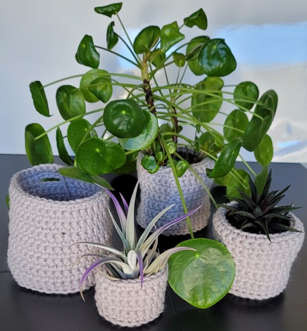 Various plants in pale gray crochet planters