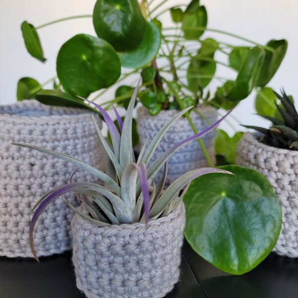 Various plants in pale gray crochet planters with an air plant in front